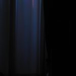 影を見るー田中一村の絵を思い出した夜の寝言ー